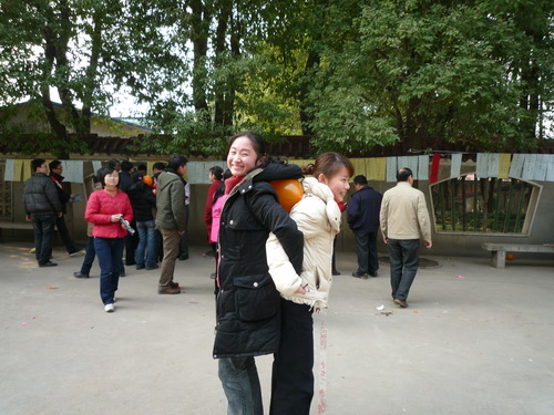 k8(й)¼